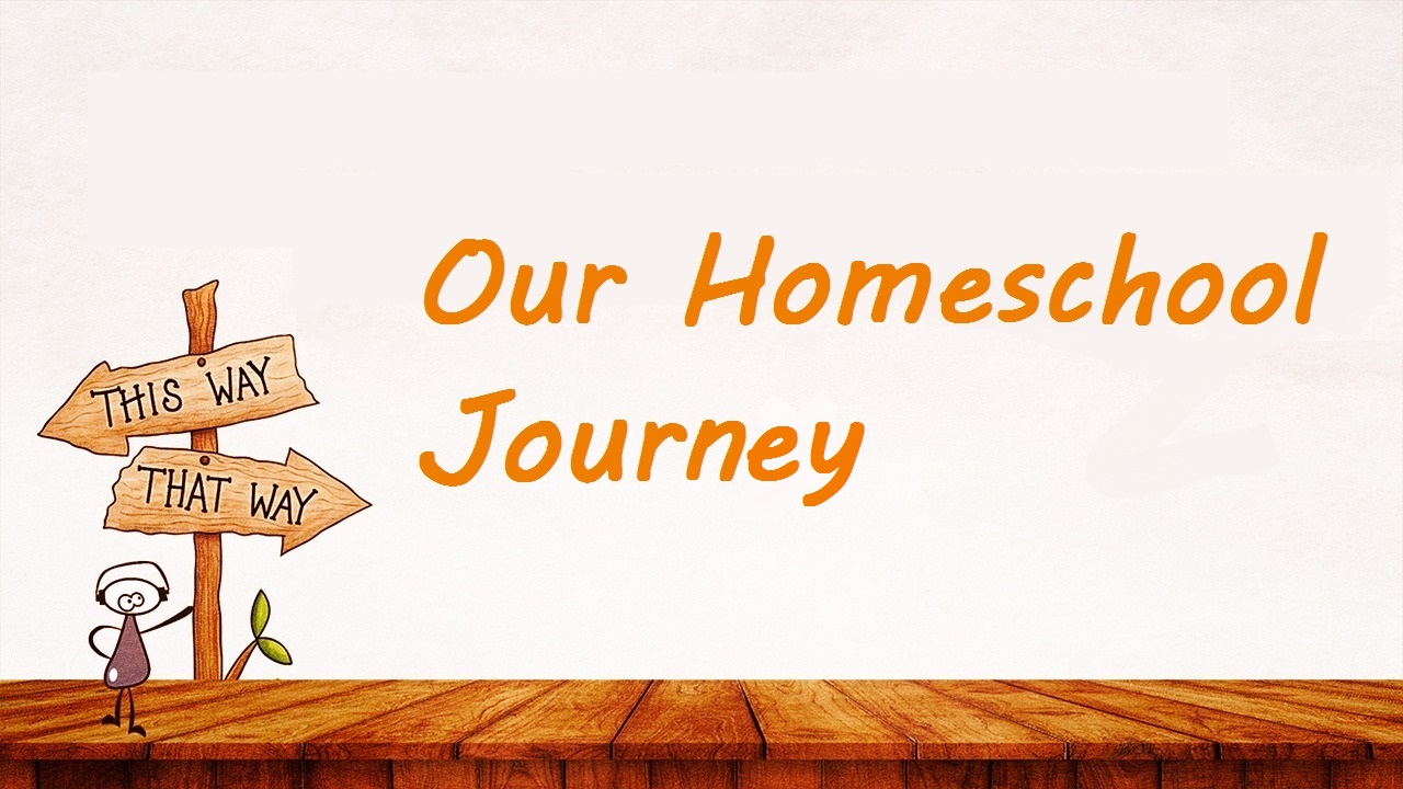 Our Journey to Homeschooling